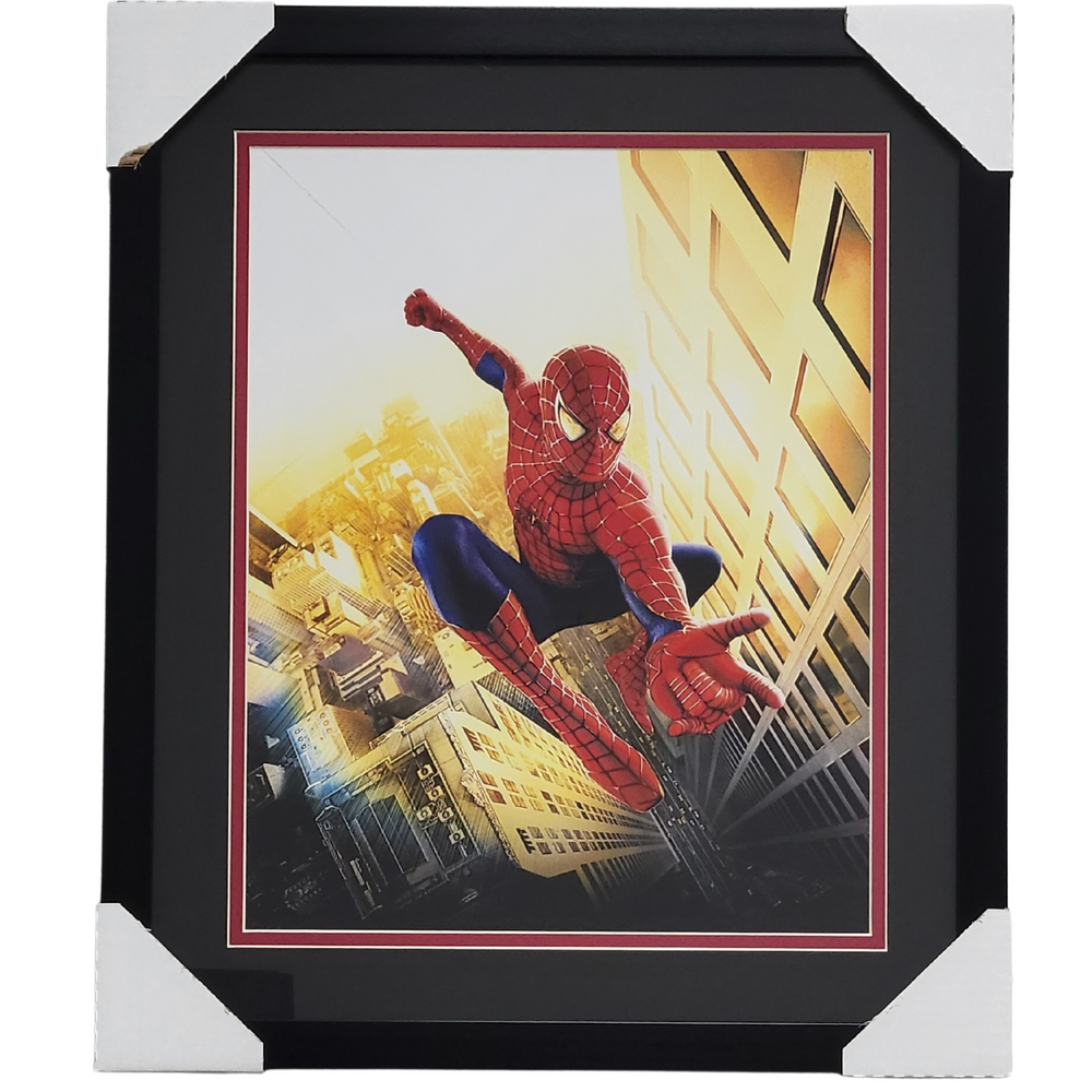 Spiderman Professionally Framed 16x20 Display